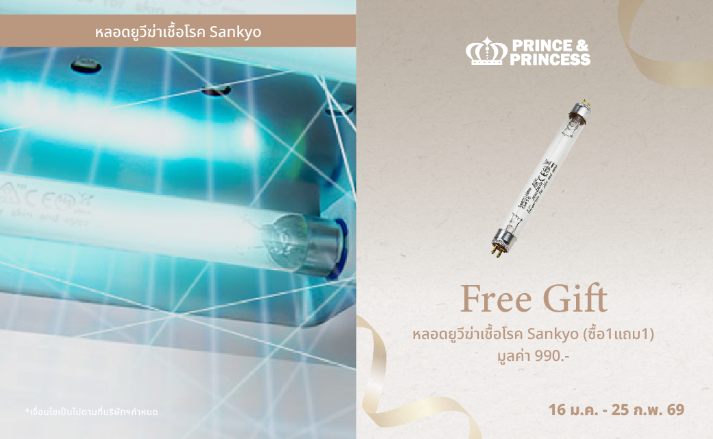 Banner โปรเว็บ ปีม้า-21